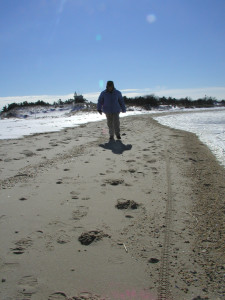 The beach along Delaware Bay at Cape Henlopen State Park (Photo: DFN)