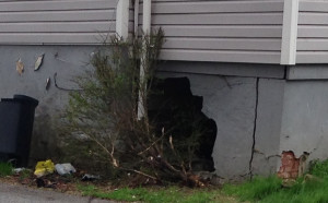 Damaged foundation at home in Roselle (Photo: DFN)