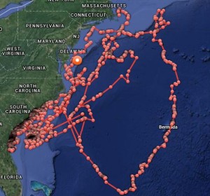 OCEARCH's tracking map shows travels of great white shark Mary Lee since 2012.