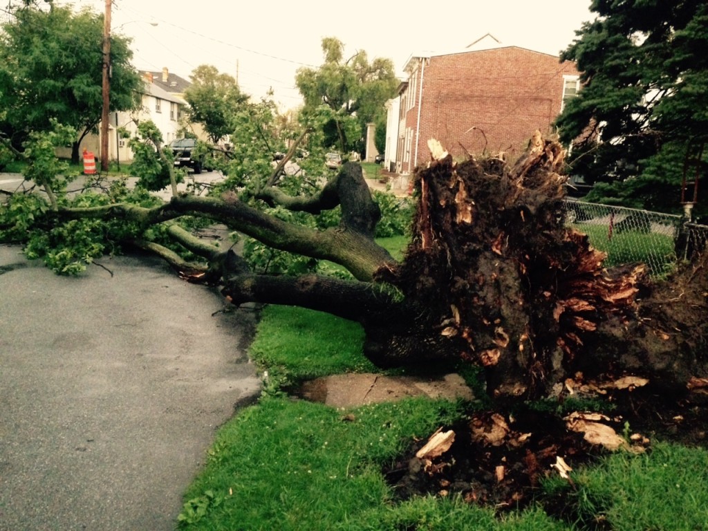 10th and Clayton streets, New Castle (Photo: Delaware Free News)