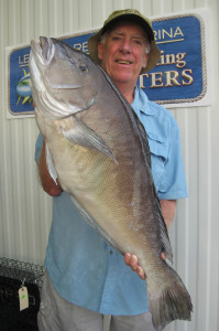 William Fintel of Lewes caught 33-inch-long record blueline tilefish in Baltimore Canyon. (Photo courtesy DNREC)