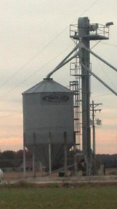 Man fell into grain silo on Owls Nest Road west of Seaford. (Photo: Delaware Free News)