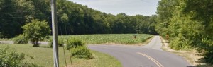 Police said crash happened on on Holletts Corner Road at sharp curve near Walnut Tree Road. (Photo: Google maps)