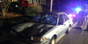 Deer hit windshield on Route 9 near Delaware City. (Photo: Delaware Free News)