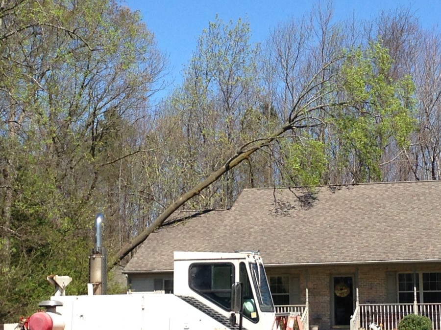 Crane was brought in to remove tree that fell onto house on Sara Glen Acres south of Milford. (Photo: Delaware Free News)