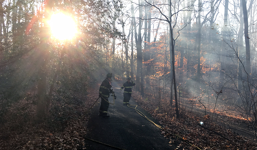 Firefighters work to put out woods fire at Mount Cuba Center. (Photo: Delaware Free News)