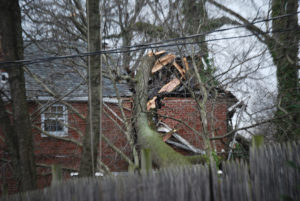 Two homes were heavily damaged when a large tree fell overnight in the 300 block of Marsh Lane east of Newport. (Photo: Delaware Free News)