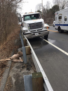 Driver was seriously injured when deer struck windshield of truck on Lancaster Pike in Hockessin. (Photo: Delaware Free News)