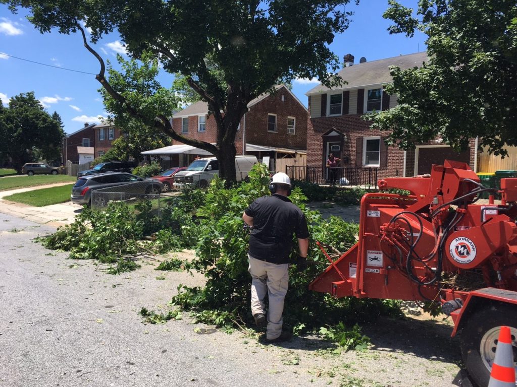 Storm damage near New Castle (Photo: Delaware Free News)