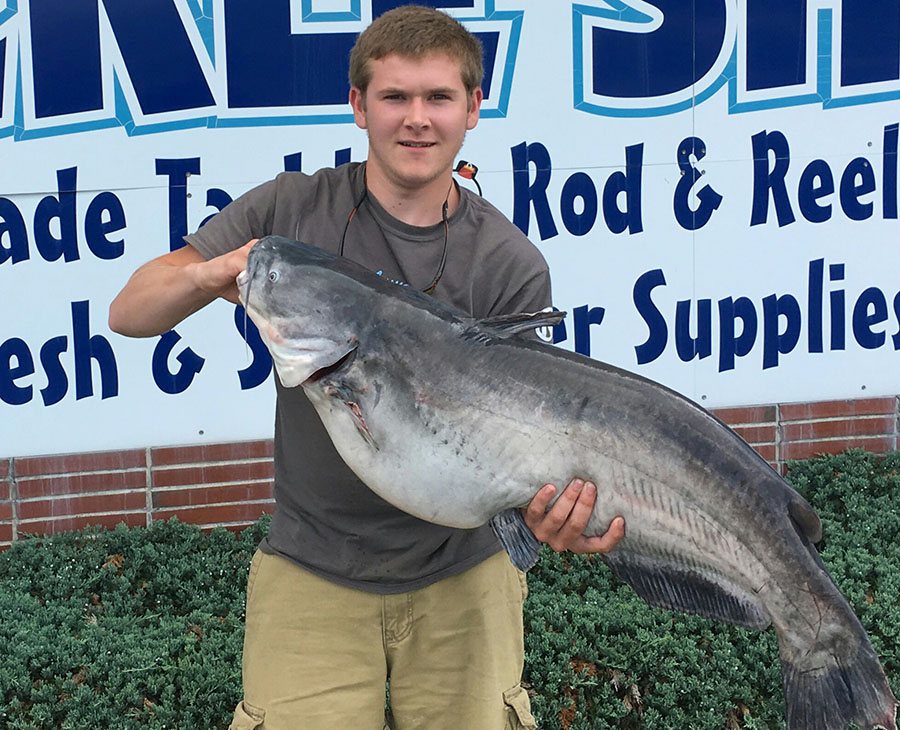 Record catfish caught in Nanticoke River Delaware Free News