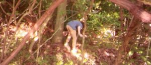 Milford police released image of suspect in theft of trail camera.