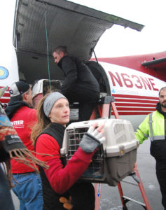 At-risk dogs from Arizona arrived at New Castle Airport. (Photo: Delaware Free News)